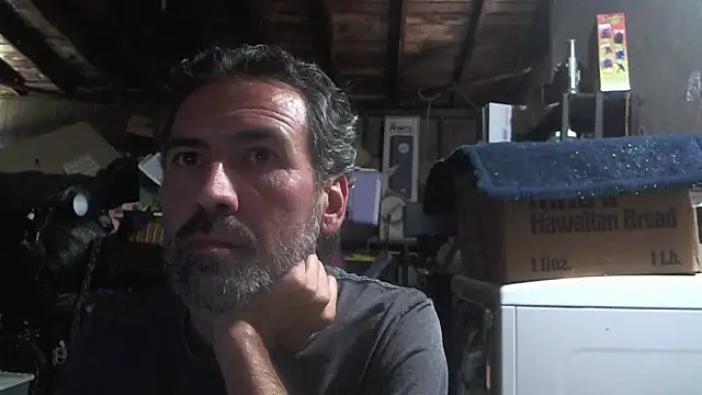 Anarchy Burger online show from 13, 3, 2026