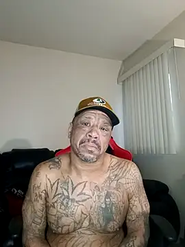 yellowwetfox online show from 3, 2, 2026