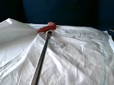 Snapshot of Simon-tem chatting on 24, 2, 2025 Simon-tem online show from 24, 2, 2025