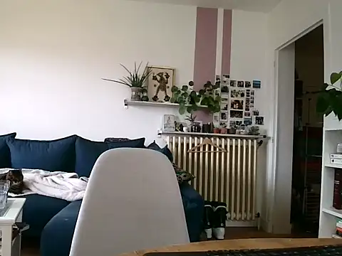 Simon-tem online show from 5, 2, 2026