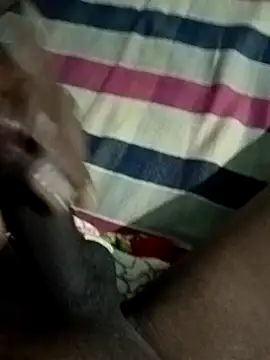 Like african online show from 19, 4, 2026