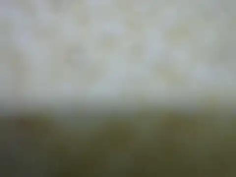 Snapshot of castistee chatting on 26, 10, 2025 castistee online show from 26, 10, 2025