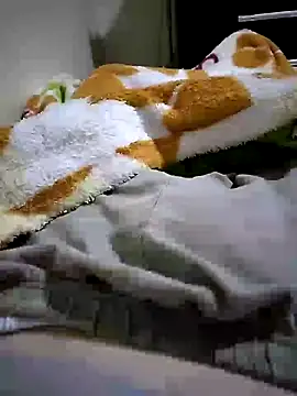 Snapshot of shiiank chatting on 27, 5, 2026 shiiank online show from 27, 5, 2026