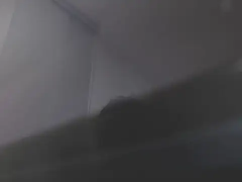 Snapshot of violetasweet11 chatting on 19, 2, 2026 violetasweet11 online show from 19, 2, 2026