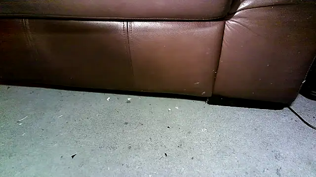 Snapshot of iamsex6969 chatting on 17, 1, 2026 iamsex6969 online show from 17, 1, 2026