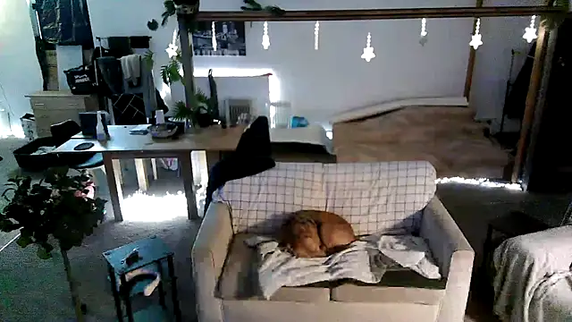 Snapshot of iamsex6969 chatting on 27, 3, 2026 iamsex6969 online show from 27, 3, 2026