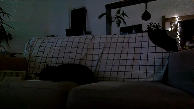 Snapshot of iamsex6969 chatting on 15, 4, 2026 iamsex6969 online show from 15, 4, 2026