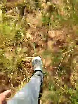 Gopal1243 online show from 7, 1, 2026