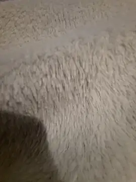 Snapshot of GeilerSchweizer chatting on 24, 4, 2026 GeilerSchweizer online show from 24, 4, 2026