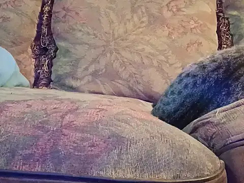 Snapshot of highstepper500 chatting on 2, 12, 2025 highstepper500 online show from 2, 12, 2025