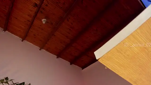 annie barozzi online show from 16, 1, 2025