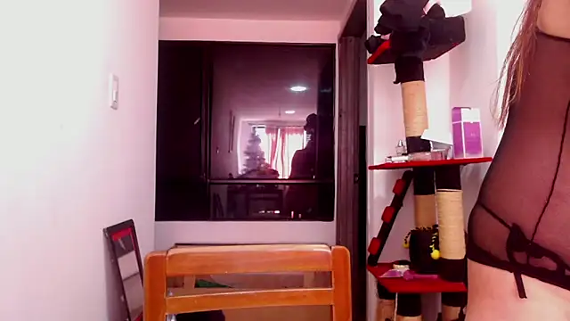 karinasodi 1 online show from 3, 12, 2025