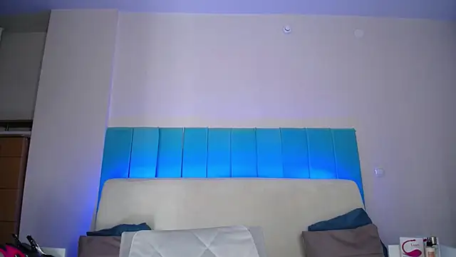 Snapshot of LindyVSAndy chatting on 30, 1, 2025 LindyVSAndy online show from 30, 1, 2025