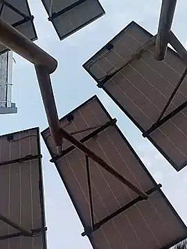 sagrado 1989 online show from 17, 1, 2026