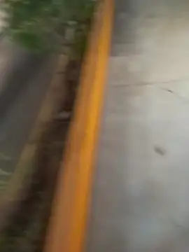 sagrado 1989 online show from 8, 2, 2026