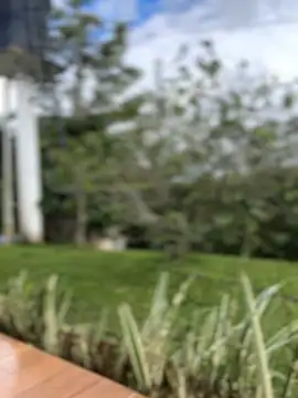 Snapshot of sahorix1 chatting on 16, 2, 2026 sahorix1 online show from 16, 2, 2026