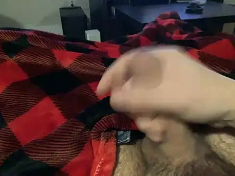 Snapshot of northcock87 chatting on 11, 12, 2024 northcock87 online show from 11, 12, 2024