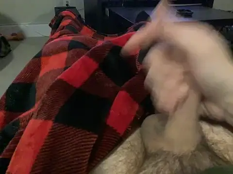 Snapshot of northcock87 chatting on 15, 1, 2025 northcock87 online show from 15, 1, 2025