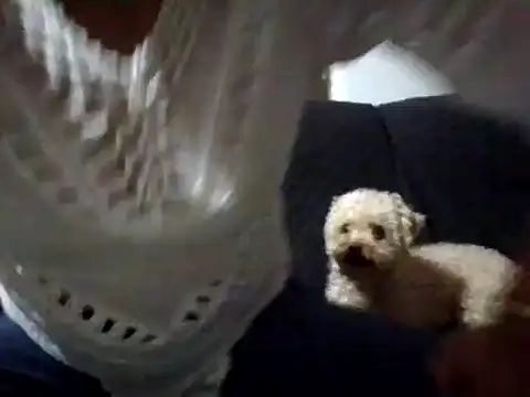 RAYA 1 online show from 2, 2, 2025