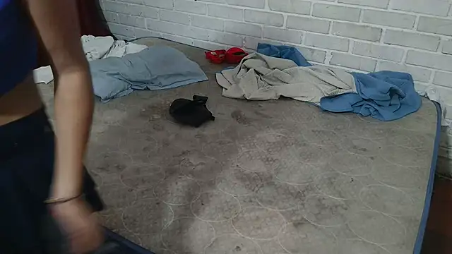 valeriaswang Lucas online show from 25, 11, 2025