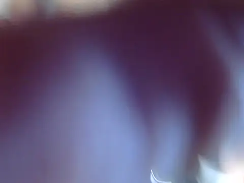 Snapshot of OSIRlS chatting on 12, 12, 2024 OSIRlS online show from 12, 12, 2024