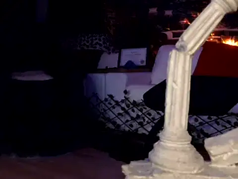 Snapshot of OSIRlS chatting on 1, 1, 2025 OSIRlS online show from 1, 1, 2025