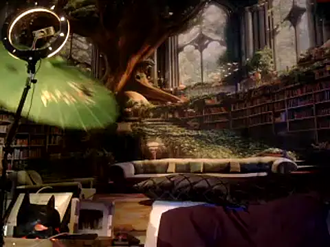 Snapshot of OSIRlS chatting on 17, 1, 2025 OSIRlS online show from 17, 1, 2025