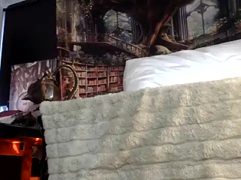 Snapshot of OSIRlS chatting on 26, 1, 2025 OSIRlS online show from 26, 1, 2025