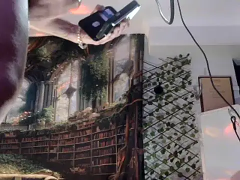 Snapshot of OSIRlS chatting on 14, 2, 2025 OSIRlS online show from 14, 2, 2025