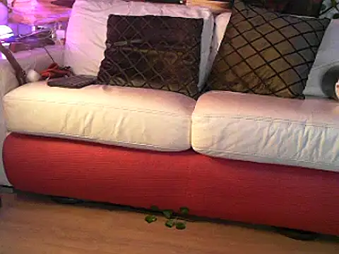 Snapshot of OSIRlS chatting on 2, 3, 2025 OSIRlS online show from 2, 3, 2025