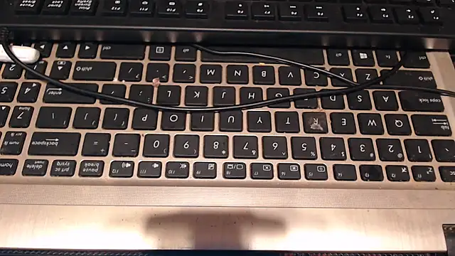 CUTEFIRMMELONSS online show from 26, 9, 2025