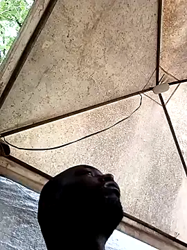 HARLEXBIGCOCK online show from 10, 12, 2024