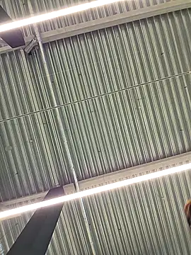 LeticiaWoods online show from 19, 10, 2025