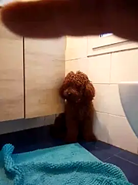 Snapshot of ValentinoRollstars chatting on 18, 3, 2026 ValentinoRollstars online show from 18, 3, 2026