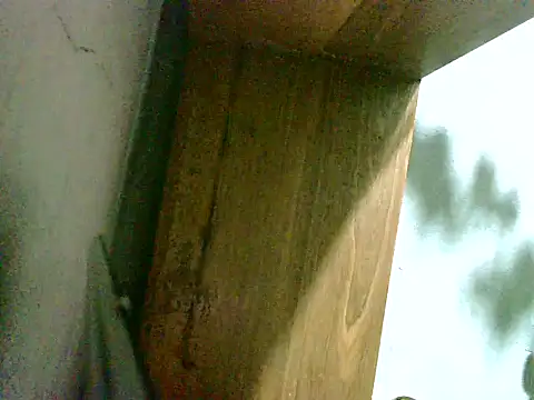 Snapshot of 2ocmaxi chatting on 8, 3, 2026 2ocmaxi online show from 8, 3, 2026