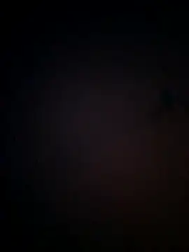 Lajkii online show from 23, 6, 2026