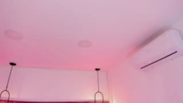 babepolly online show from 16, 1, 2026