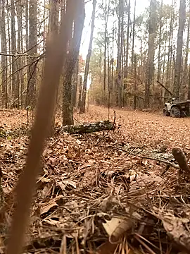 Snapshot of Themechanic420 chatting on 14, 12, 2024 Themechanic420 online show from 14, 12, 2024