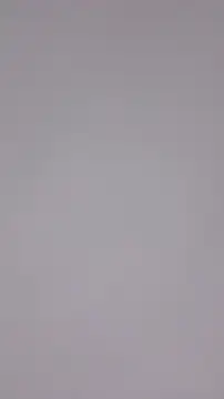 Maple Honeycome online show from 22, 12, 2024