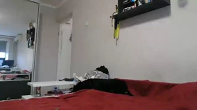 Snapshot of delightful_sofi chatting on 11, 11, 2025 delightful sofi online show from 11, 11, 2025