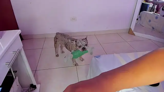 SophiieWilson  online show from 27, 10, 2025