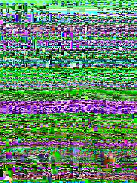 versetopcouple online show from 29, 10, 2025