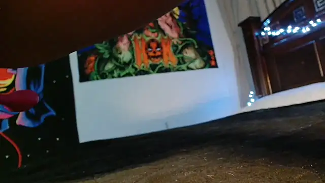 MINI Petite online show from 24, 2, 2026