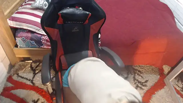 Snapshot of sexyjustin202 chatting on 9, 10, 2025 sexyjustin202 online show from 9, 10, 2025