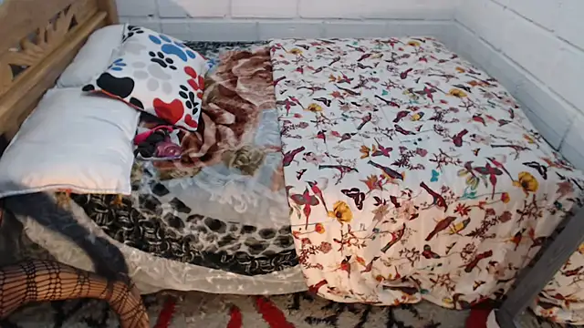 Snapshot of sexyjustin202 chatting on 15, 12, 2025 sexyjustin202 online show from 15, 12, 2025