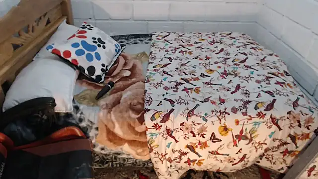 Snapshot of sexyjustin202 chatting on 19, 12, 2025 sexyjustin202 online show from 19, 12, 2025