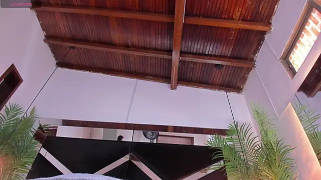 candy sweet  online show from 5, 3, 2025