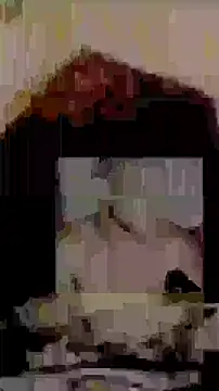 Happypotplants online show from 23, 12, 2025