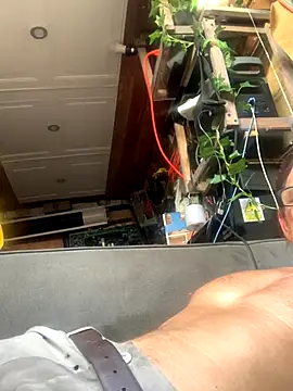 Snapshot of Likewise chatting on 18, 12, 2025 Likewise online show from 18, 12, 2025