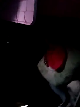 Snapshot of 121fff chatting on 9, 10, 2025 121fff online show from 9, 10, 2025